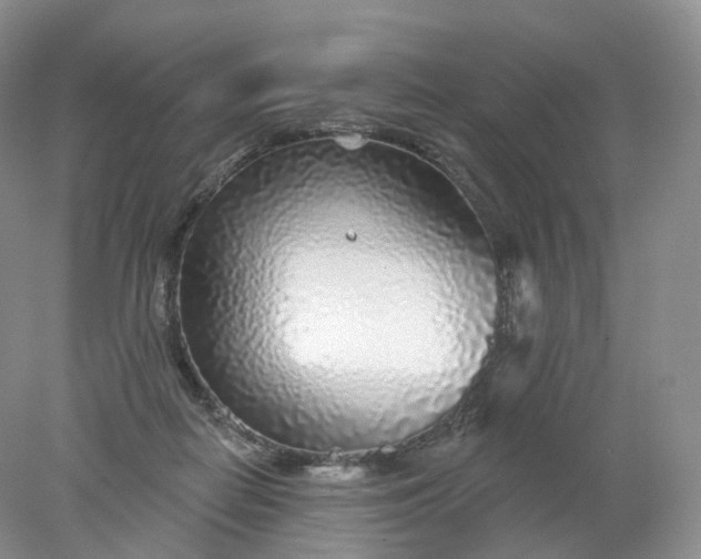 X0000078310266200611172222