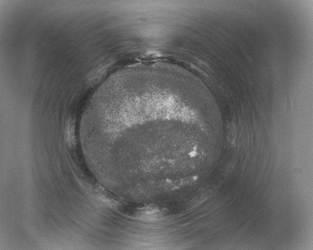 X0000078310267200611172222