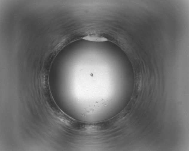 X0000078310268200611172222