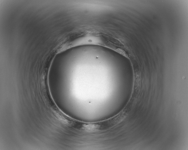 X0000078310269200611172222