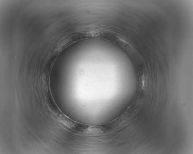 X0000078310270200611172222