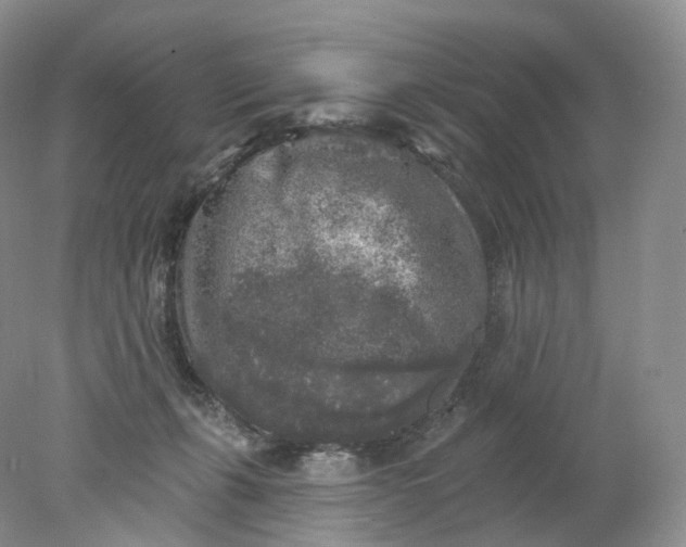 X0000078310271200611172222