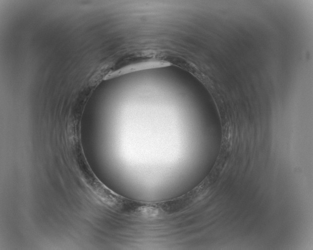 X0000078310272200611172222