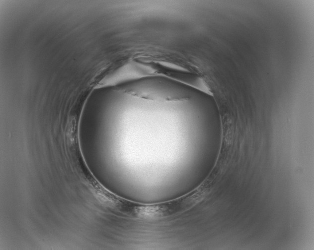 X0000078310273200611172222