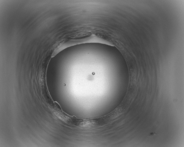 X0000078310274200611172222