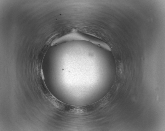 X0000078310276200611172222