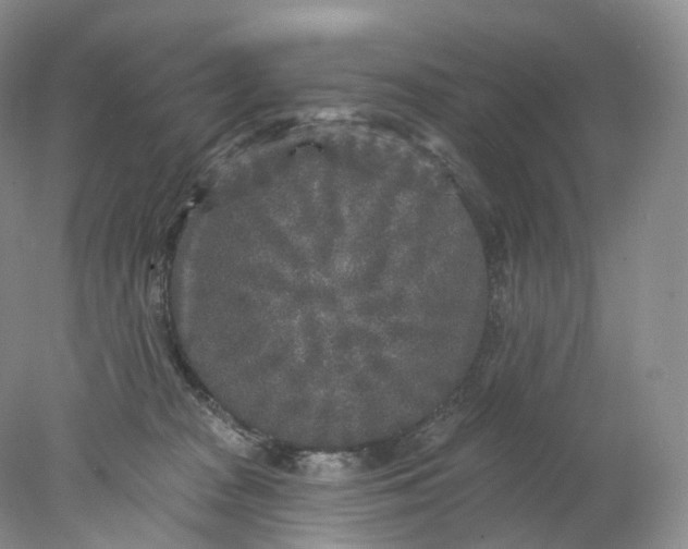 X0000078310277200611172222