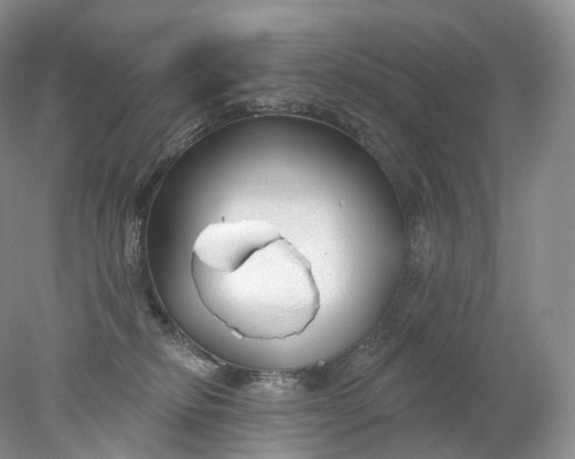 X0000078310278200611172222