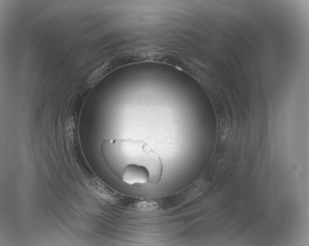 X0000078310279200611172222