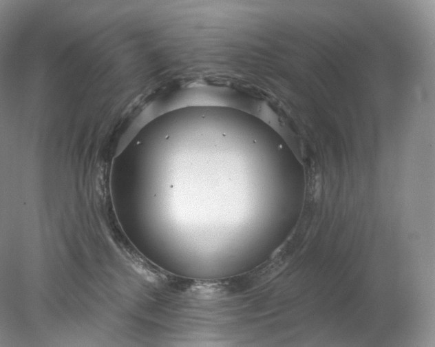 X0000078310280200611172223