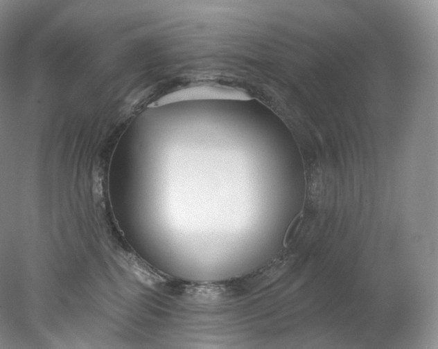 X0000078310282200611172223