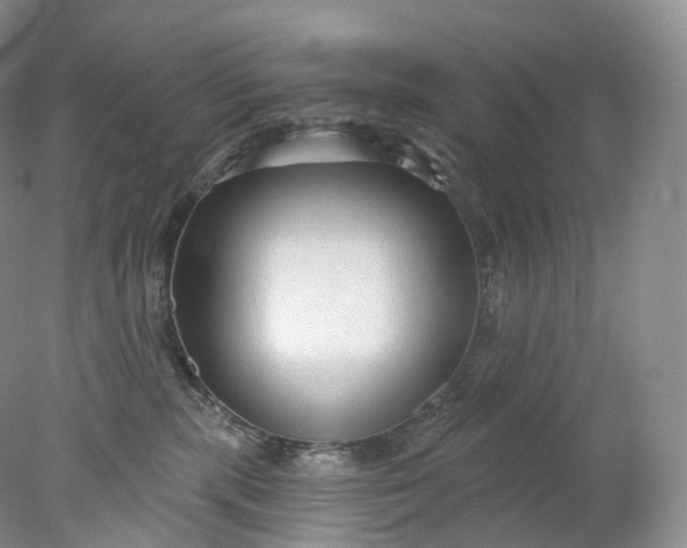 X0000078310283200611172223