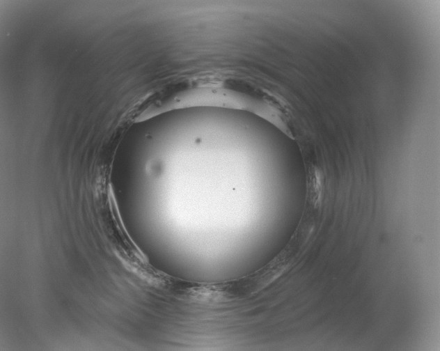 X0000078310284200611172223