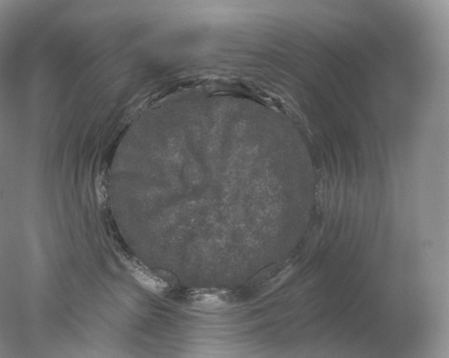 X0000078310285200611172223