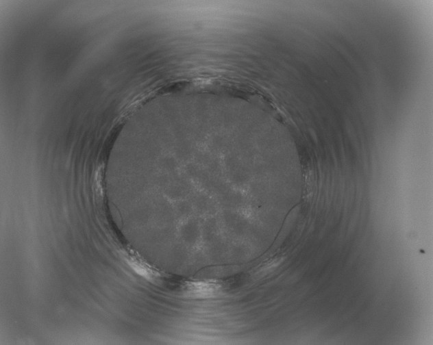 X0000078310286200611172223