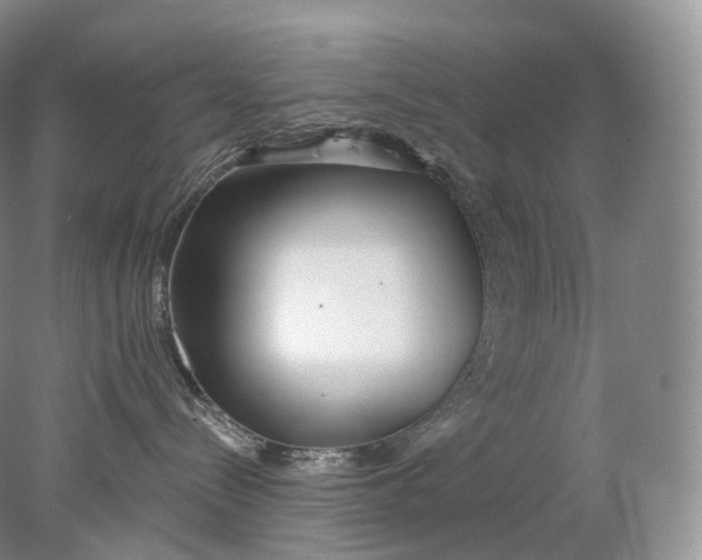 X0000078310288200611172223