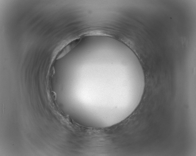 X0000078310289200611172222