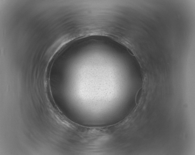 X0000078310290200611172222