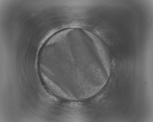 X0000078310292200611172222