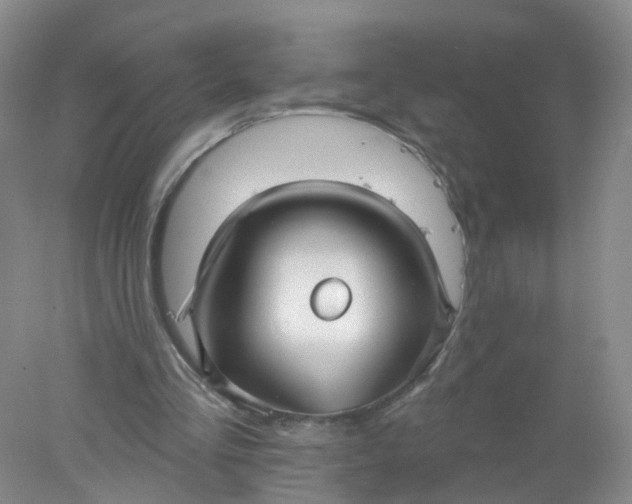 X0000078310293200611172222