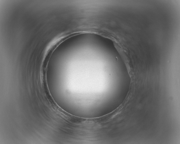 X0000078310294200611172222