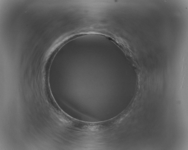 X0000078310295200611172222