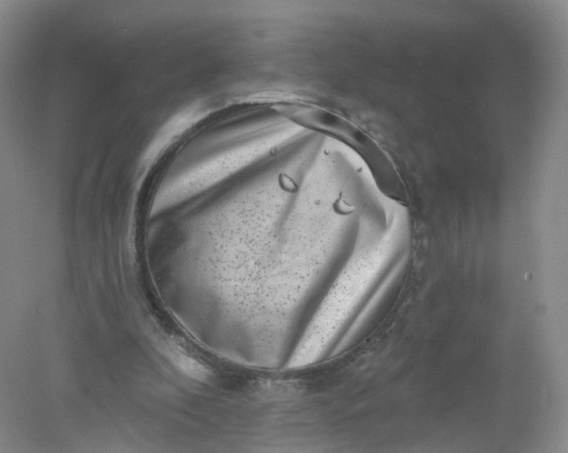 X0000078310296200611172222