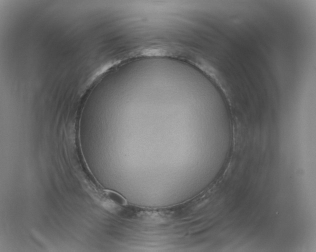 X0000078310297200611172222