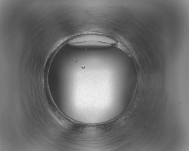 X0000078310298200611172222