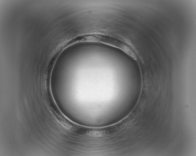 X0000078310299200611172222