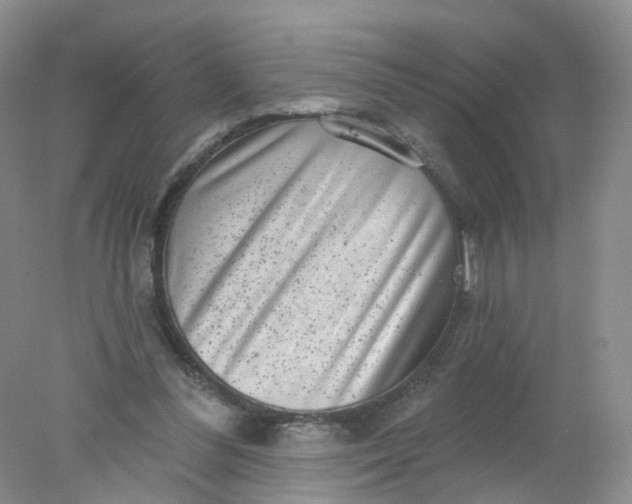 X0000078310300200611172222