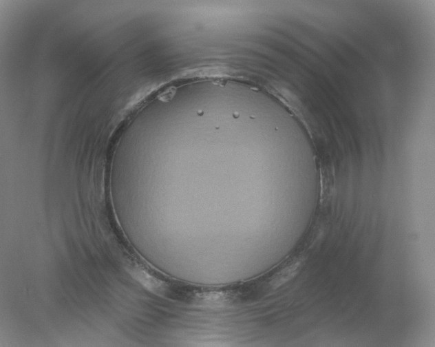 X0000078310301200611172222