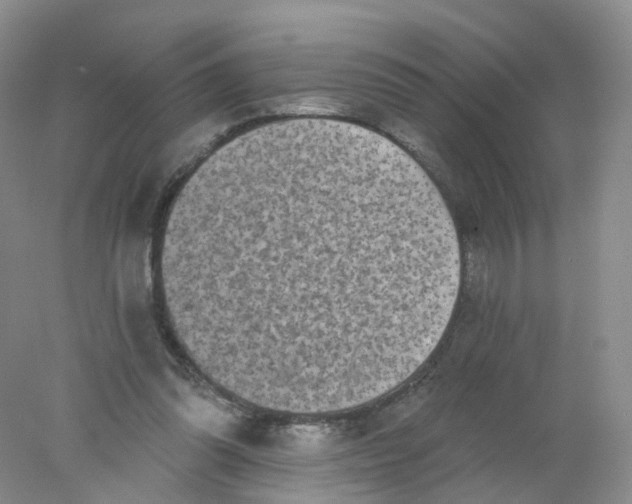 X0000078310302200611172222