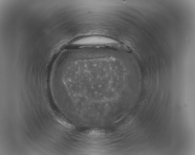 X0000078310303200611172222