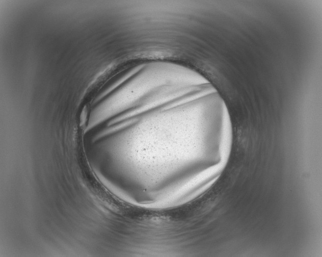 X0000078310304200611172222