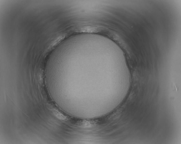 X0000078310305200611172222