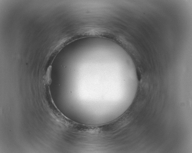 X0000078310306200611172222