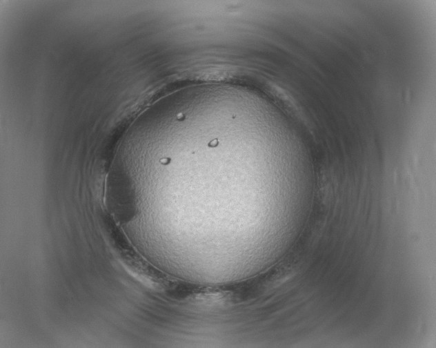 X0000078310307200611172222