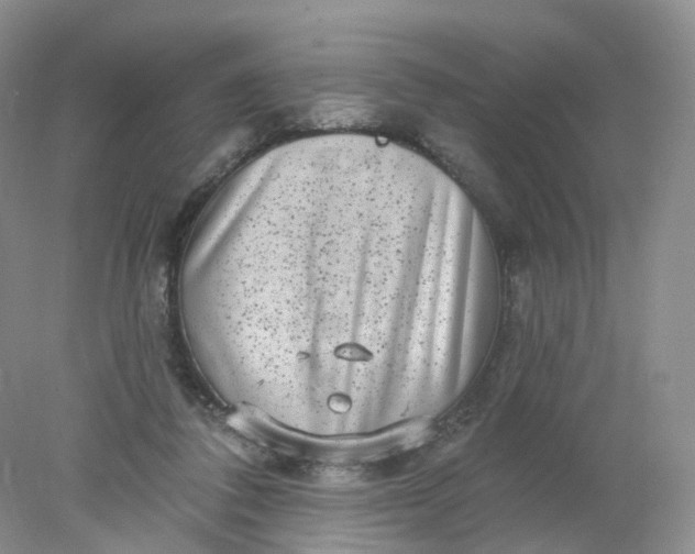 X0000078310308200611172222