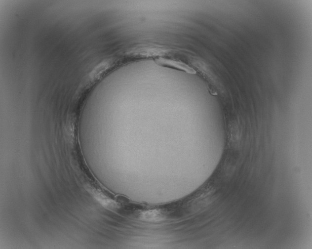 X0000078310309200611172222