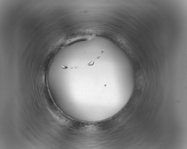 X0000078310310200611172221