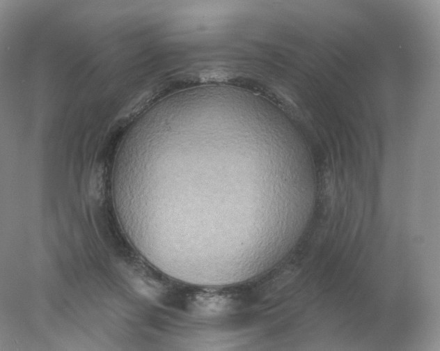 X0000078310311200611172221