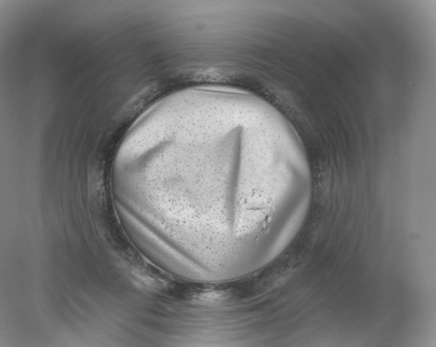 X0000078310312200611172221