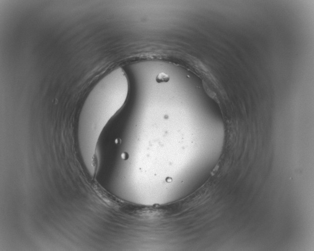 X0000078310313200611172221