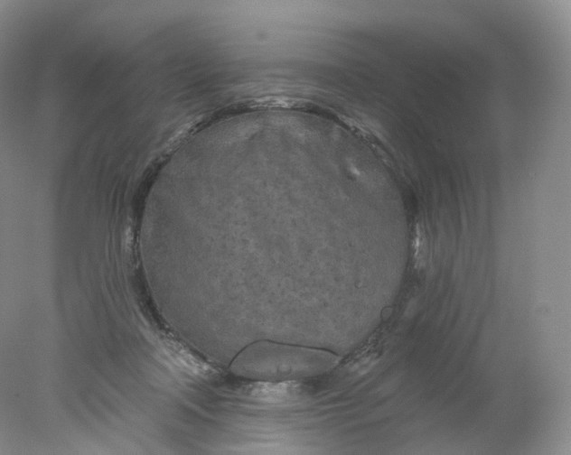 X0000078310314200611172221