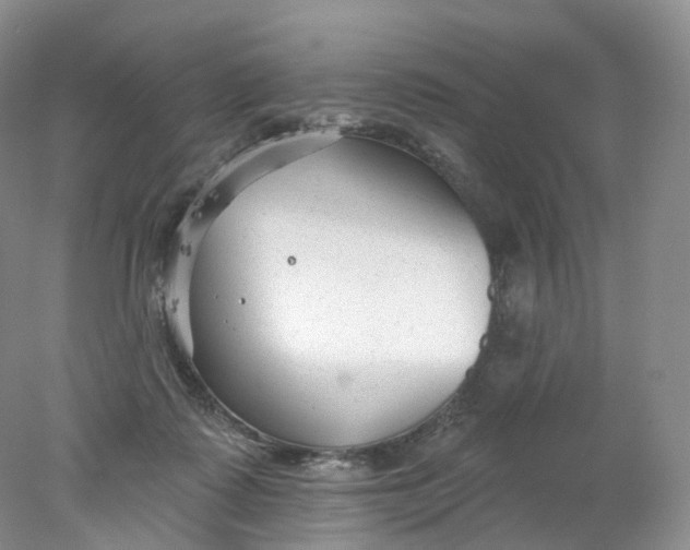 X0000078310315200611172221