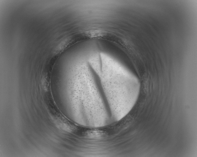 X0000078310316200611172221