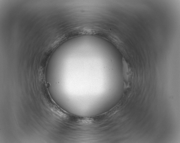 X0000078310318200611172221