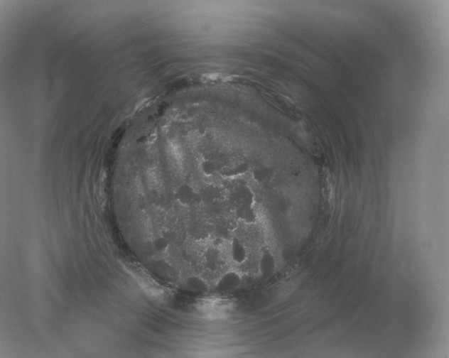 X0000078310319200611172221