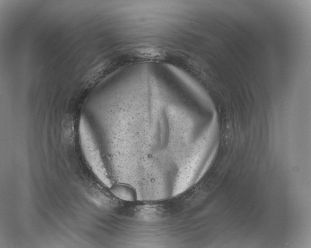 X0000078310320200611172221